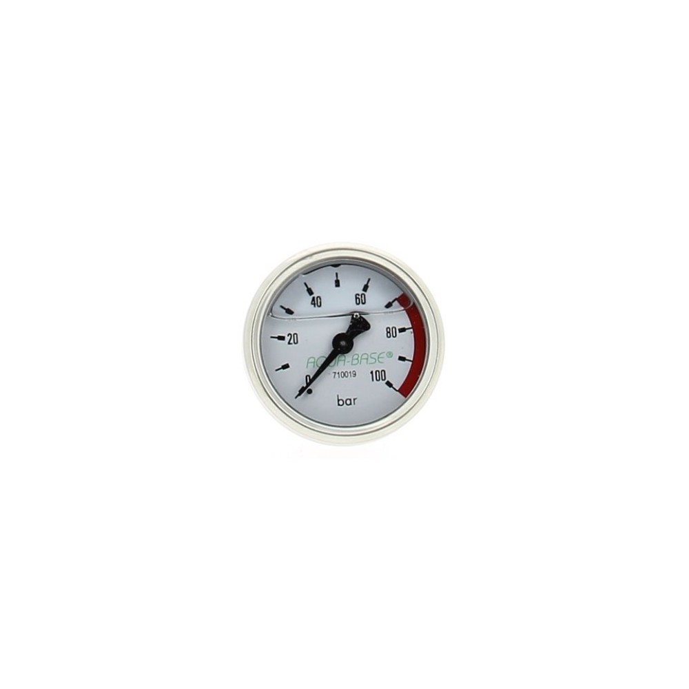 Mano 0-100 B.M1/4G Ø50mm